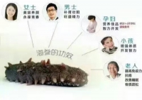 护具