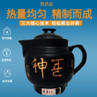 全自动煎药壶中药壶锅砂锅陶瓷药煲煮炖器中医壶电子熬药罐